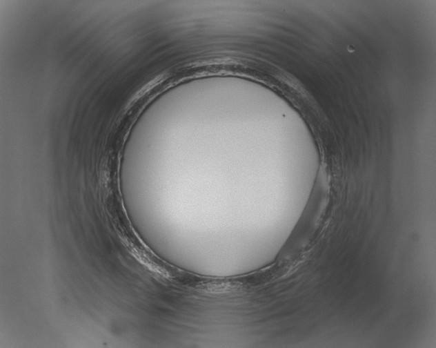 X0000080700826200701121749