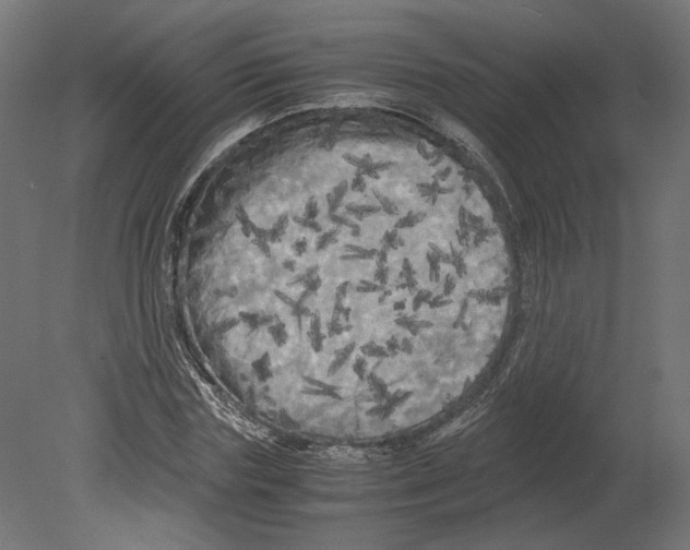 X0000080700827200701121749