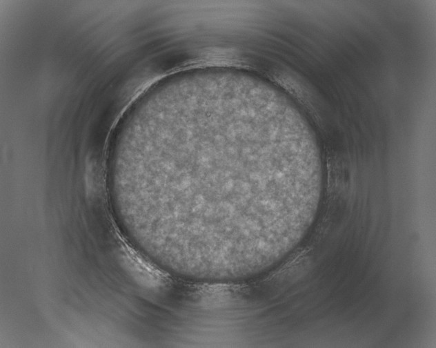 X0000080700828200701121749