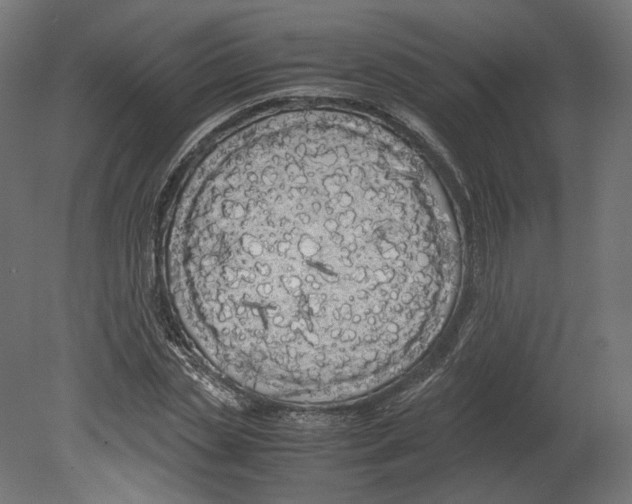 X0000080700829200701121749