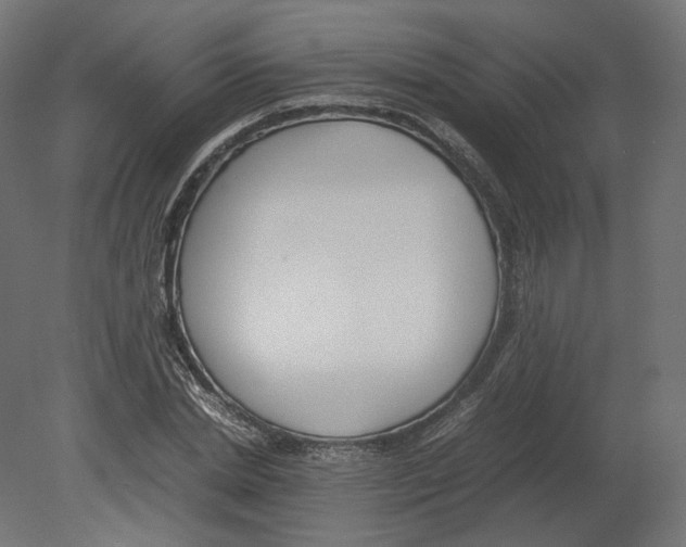 X0000080700830200701121749