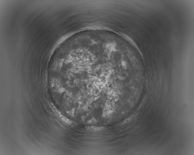 X0000080700831200701121749