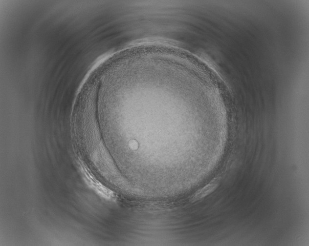 X0000080700832200701121749