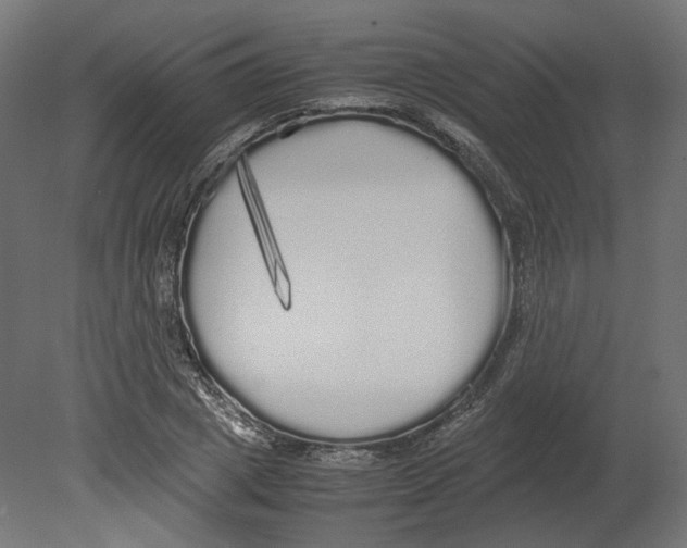 X0000080700833200701121749