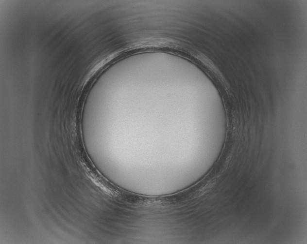 X0000080700834200701121749