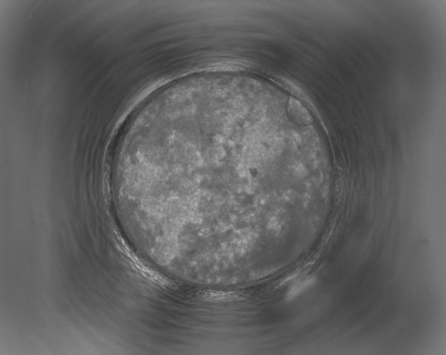 X0000080700835200701121749