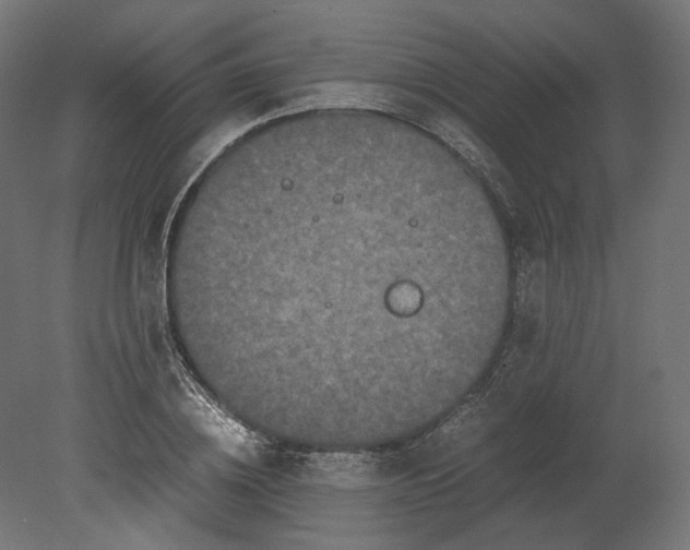 X0000080700836200701121749