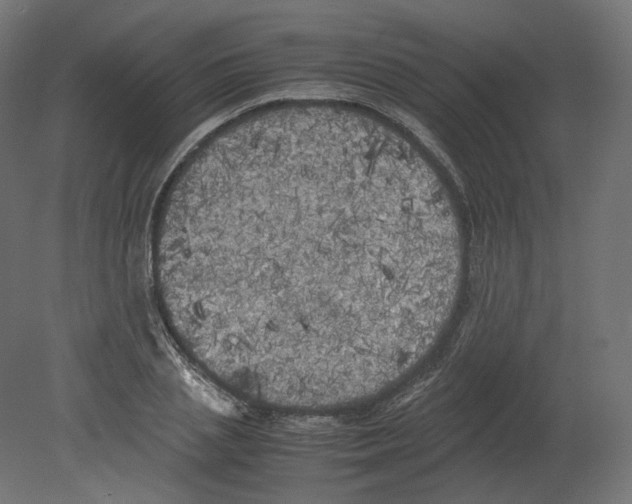 X0000080700837200701121749