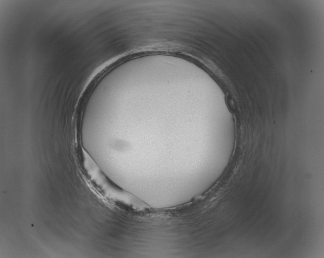 X0000080700838200701121749