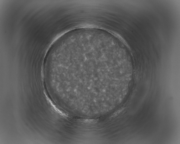 X0000080700839200701121749