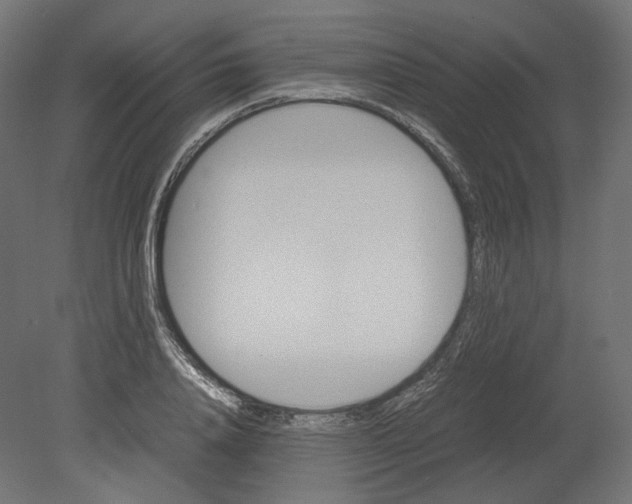 X0000080700840200701121749