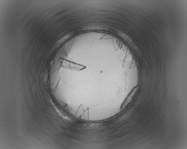 X0000080700841200701121749