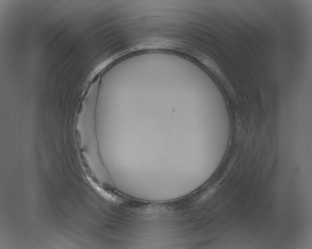 X0000080700842200701121749