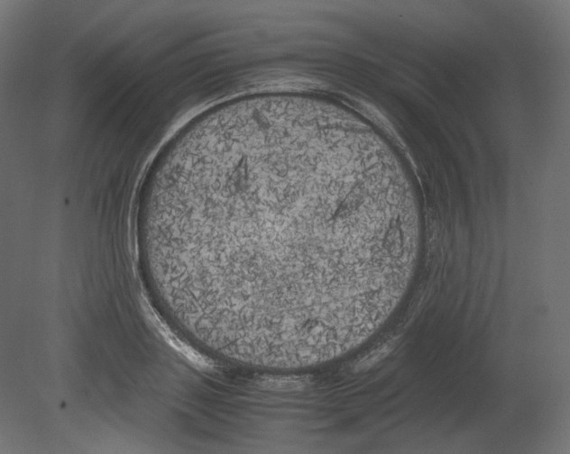 X0000080700843200701121749