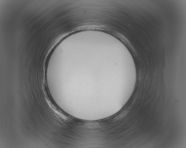 X0000080700844200701121749