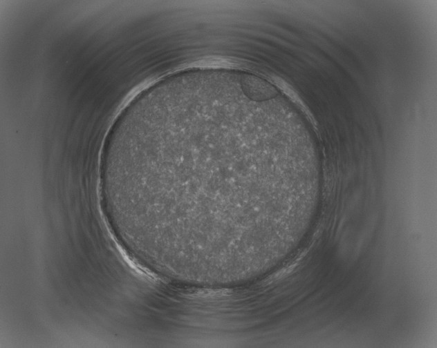 X0000080700845200701121749