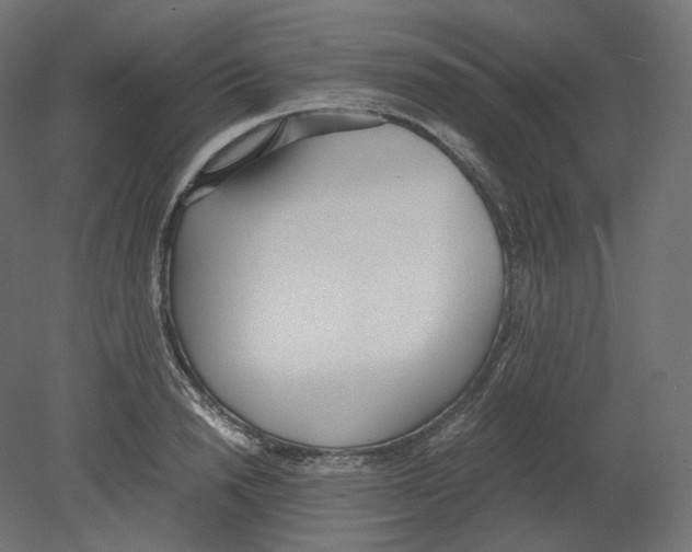 X0000080700846200701121749