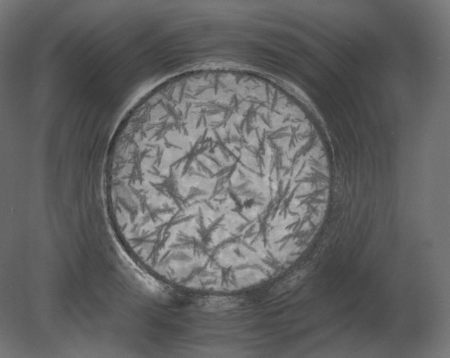 X0000080700847200701121749