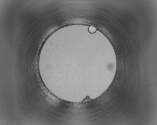 X0000080700848200701121749