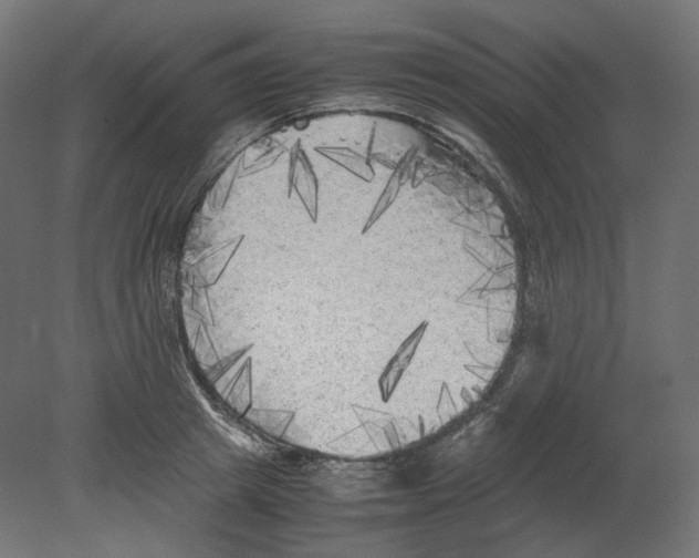 X0000080700849200701121749