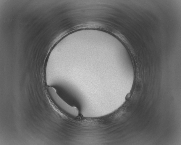 X0000080700850200701121749