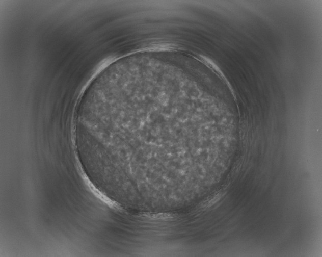 X0000080700851200701121749