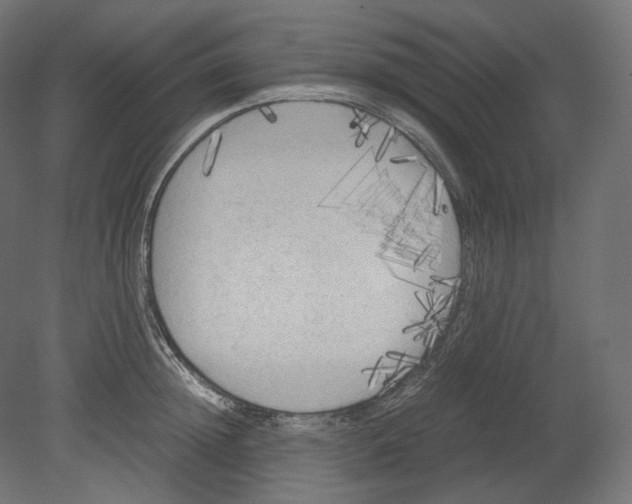 X0000080700852200701121749