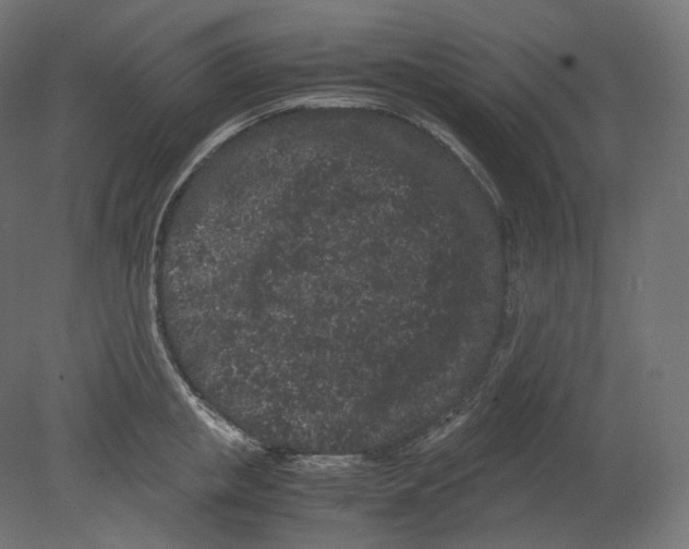 X0000080700853200701121749