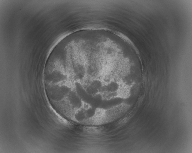 X0000080700855200701121749