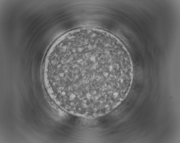 X0000080700856200701121749