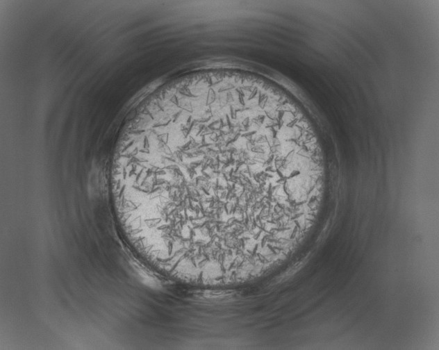 X0000080700857200701121749