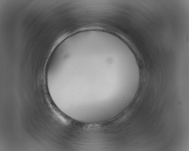 X0000080700858200701121749