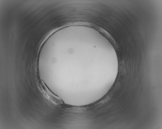 X0000080700860200701121749