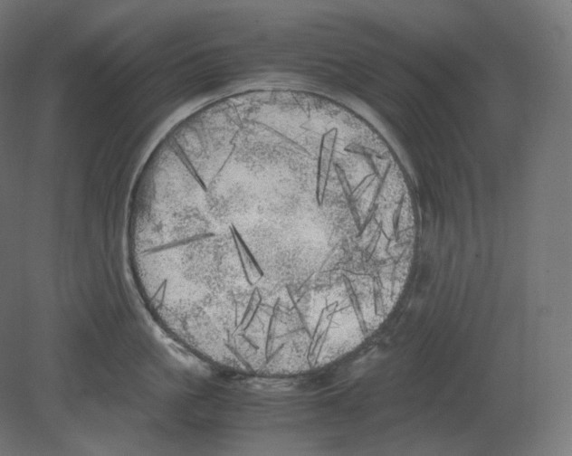 X0000080700861200701121749