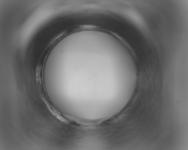 X0000080700862200701121749