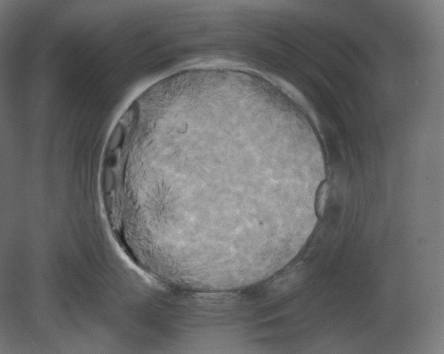 X0000080700863200701121749