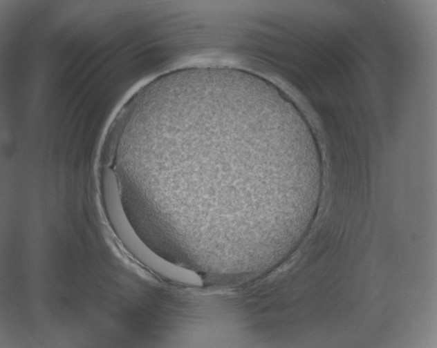 X0000080700864200701121749