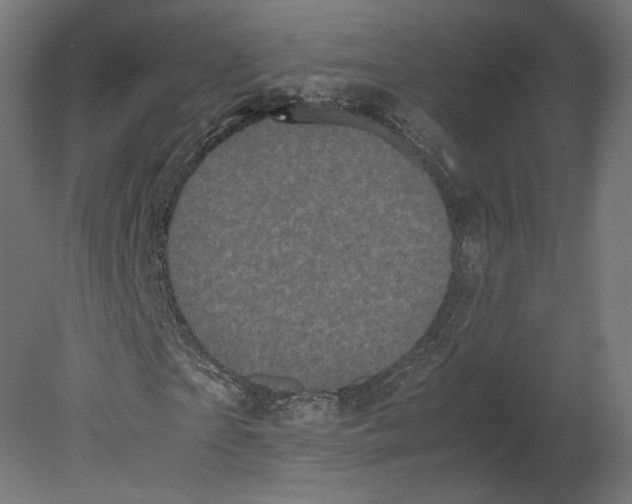 X0000080700865200701121749