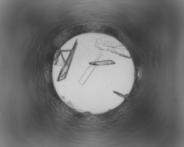 X0000080700867200701121749