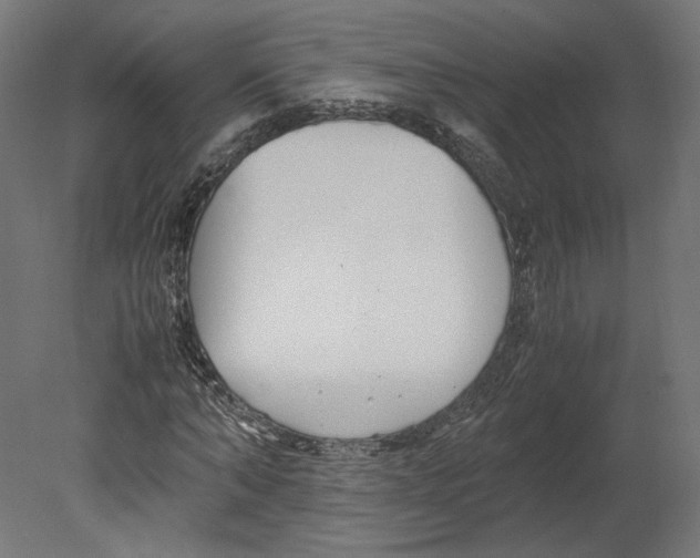 X0000080700870200701121748