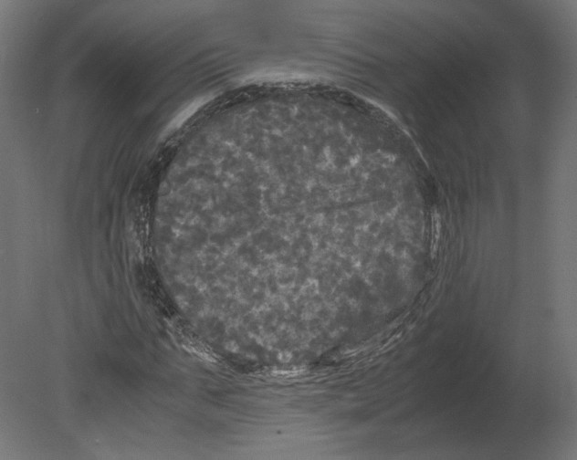 X0000080700871200701121748