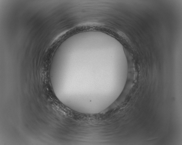 X0000080700872200701121748