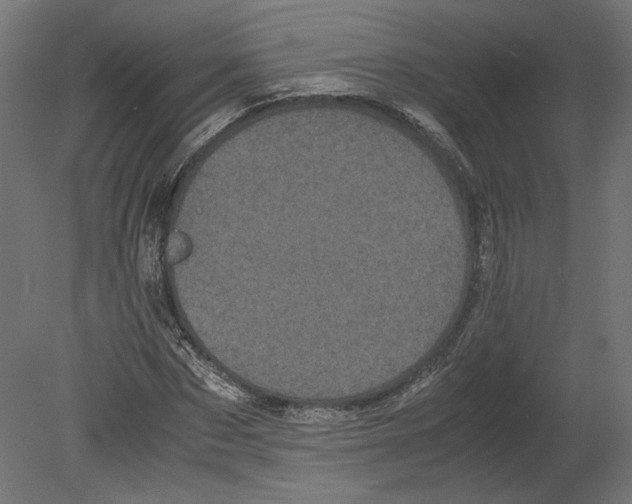 X0000080700873200701121748