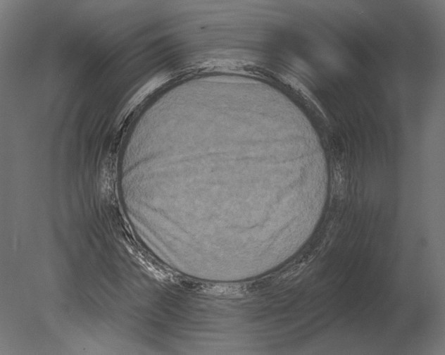 X0000080700874200701121748