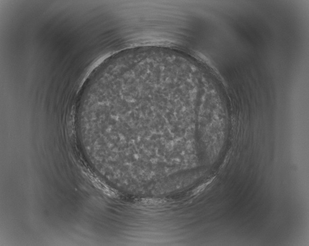 X0000080700875200701121748