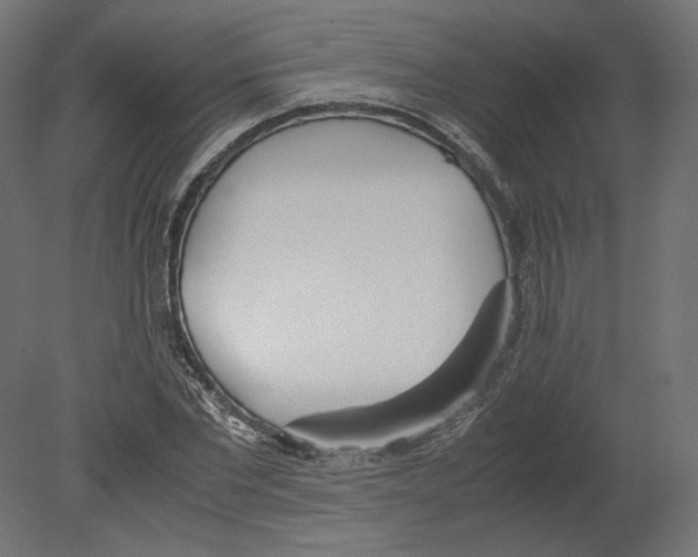 X0000080700877200701121748