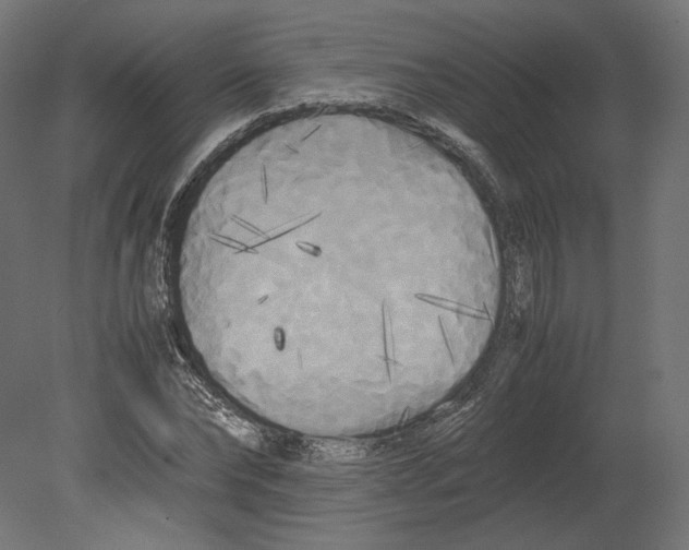 X0000080700878200701121748