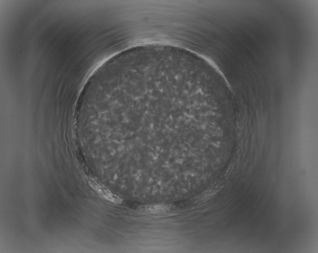 X0000080700879200701121748