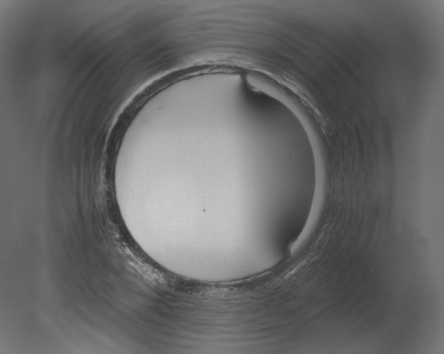 X0000080700880200701121748