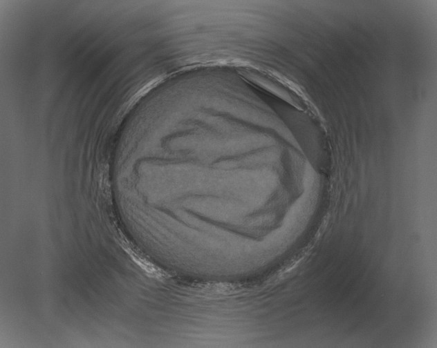 X0000080700881200701121748